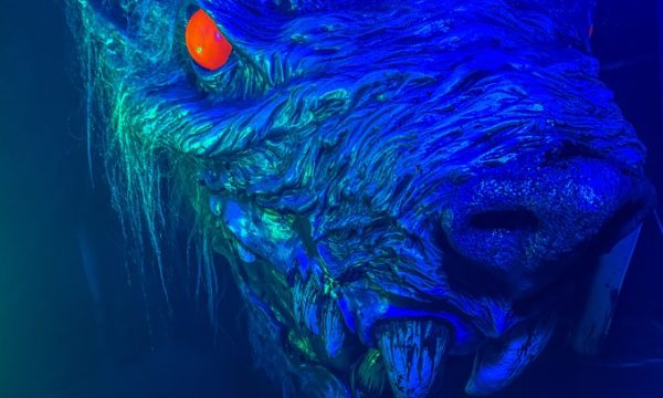 188102A7-0639-40B0-8B45-3CAE19C622E4