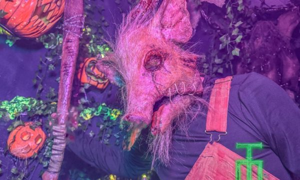 4466F785-3F41-4243-8544-89309348F448