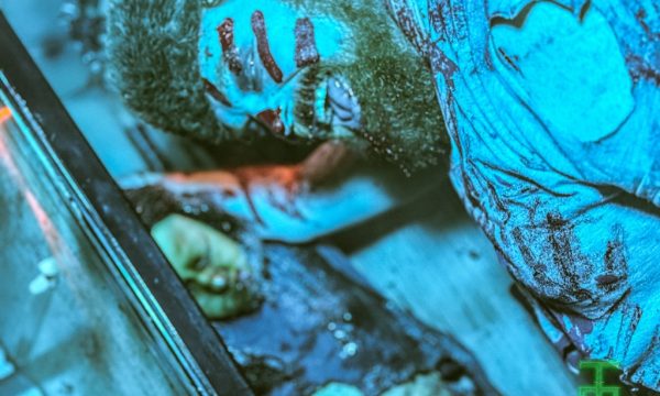 581F2D80-BE58-4882-ADD9-D58B18D62472