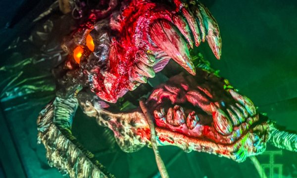 6D0C7298-2A23-4F78-8564-AA836E144699