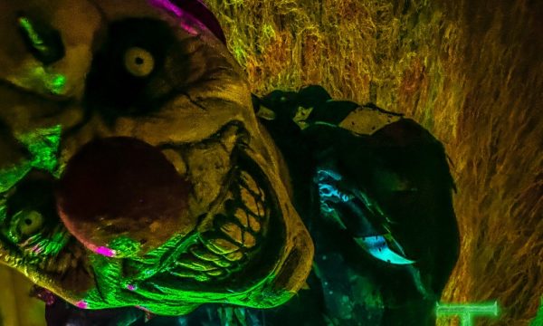 8D2A26CF-653C-4EFA-B26A-9DC8AF25A619